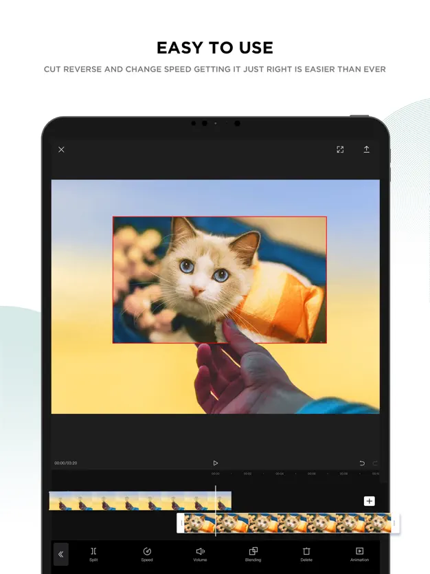 Capcut screen with a Cat showing ease of use