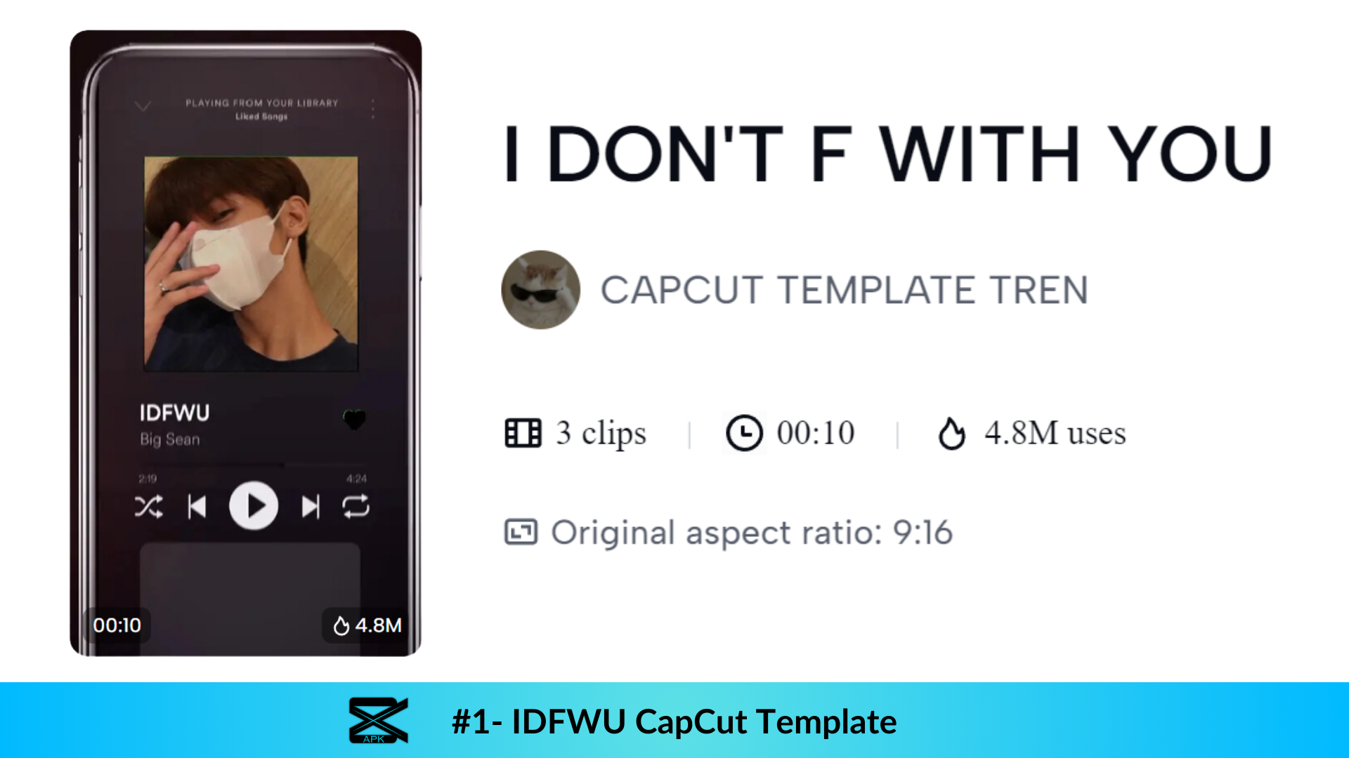 Preview of No.1 Capcut IDFWU Template 